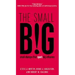 Small Big | Steve J Martin (ISBN: 9781455584253)