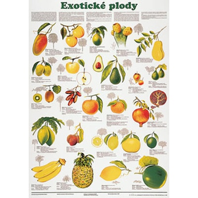Plakát - Exotické plody