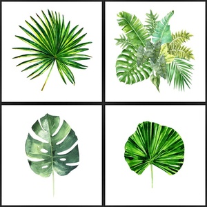 knor Плакат 30x30 cm Monstera (ZEST015DB4X30X30L13,15,051)