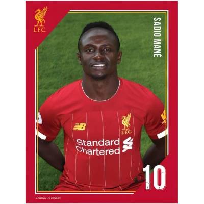 Tlačená fotografia Liverpool 15/20cm Mane