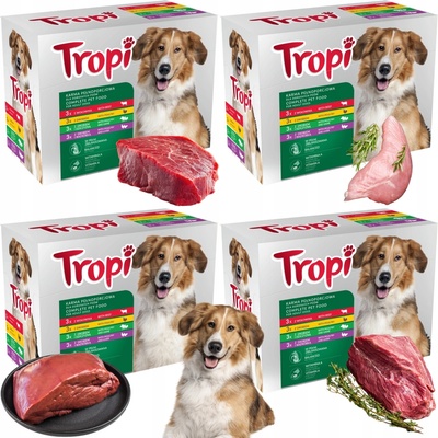 Pedigree Adult směs příchutí 40 x 100 g