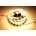 MasterLED VIP4894