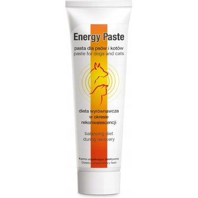 Dolfos Energy Pasta podpora rekonvalescence a vitality 100 g