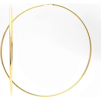 Šperk Holíč zlaté kruhové náušnice ZN392