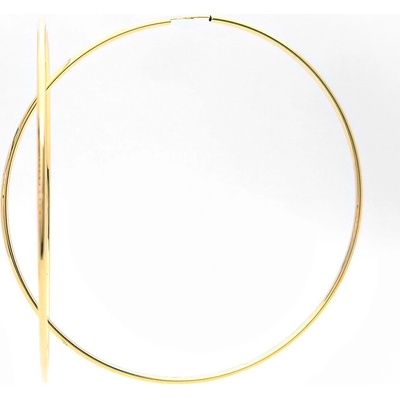 Šperk Holíč zlaté kruhové náušnice ZN392