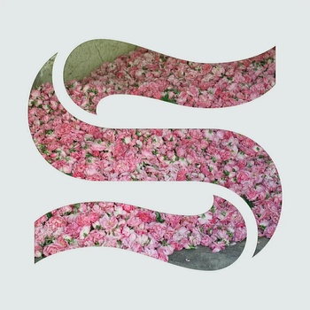 Image 1 of Braxe + Falcon - Step By Step (EP) (SMGLR002T)