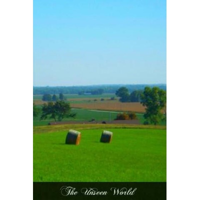 The Unseen World: An Exposition Of Catholic Theology In Its Relation To Modern Spiritism | Rev Fr Alexius M Lepicier O S M