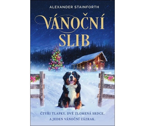 Vánoční slib