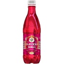 Bohemia Waters Zaječická hořká voda 0.5 l