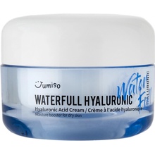 Jumiso Waterfull Hyaluronic cream 50 ml