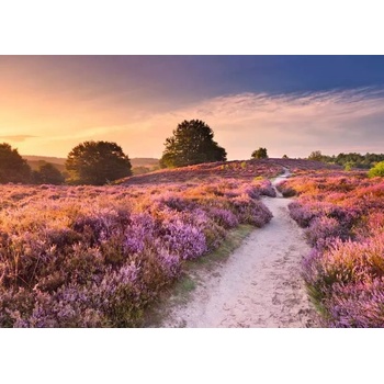 Ravensburger - Puzzle Beautiful WalkWays: Pink Pathway, Netherlands - 1 000 piese