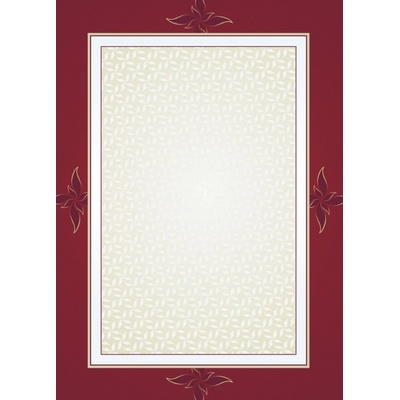 Galeria Papieru diplomy Majestic 170g 25ks