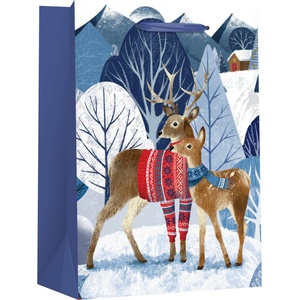 EUROCOM Подаръчна торбичка XMAS Special Large, 26x32x12cm (25160-А-71842)