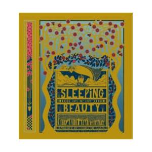Sleeping Beauty (ISBN: 9781849768931)