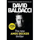 Long Shadows - David Baldacci