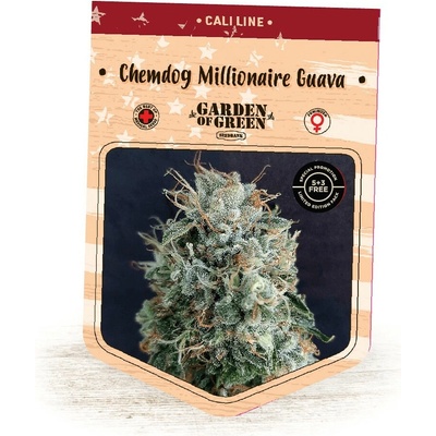Garden Of Green Seedbank Chemdog Millionaire Guava semienka neobsahujú THC 10 ks