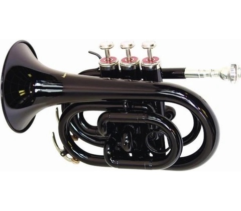 Dimavery TP-300 B