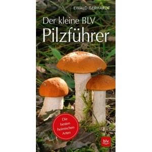 Der kleine BLV Pilzführer | Ewald Gerhardt (ISBN: 9783835418448)