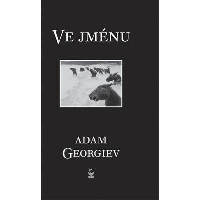 Ve jménu