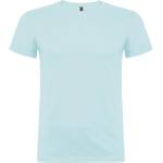 Roly beagle / Мъжка тениска - бледосиня 4xl (e6554-101-4xl)