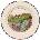 Villeroy & Boch Чиния за десерт Design Naif Cultivation 17 см (10-2337-2665)
