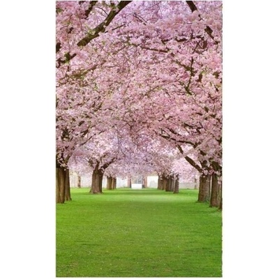DIMEX ART Флизелинов фототапет черешова градина 150 x 250 см