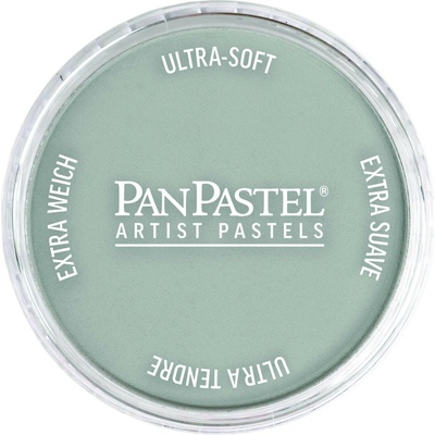 PanPastel suchý pastel 921.5 pewter