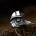 NNM пръстен Bird Eye - SS8-810R