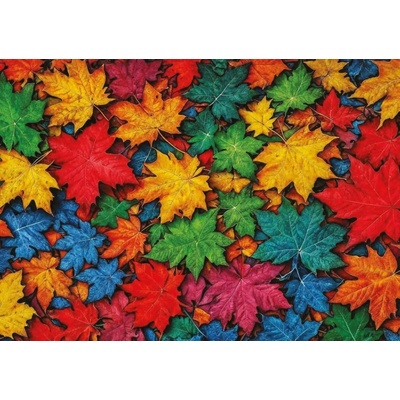 ART PUZZLE Farebné listy 1000 dielov