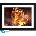 GBEye WORLD OF WARCRAFT - Framed print "Ragnaros" (30x40) (GBEYE-GBYDCO238)