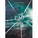 Jozef Karika Pád