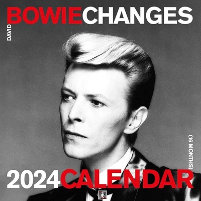 David Bowie nástěnný 30×30 cm 2024