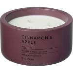blomus Cinnamon & apple 400 g