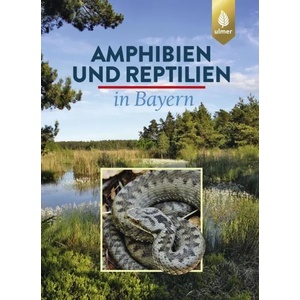 Amphibien und Reptilien in Bayern | Eberhard Andrä, Otto Aßmann, Thomas Dürst, Günter Hansbauer, Andreas Zahn (ISBN: 9783818603793)