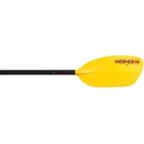 Werner Rio FG