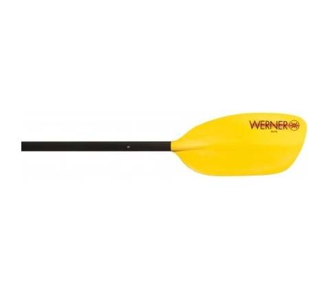 Werner Rio FG