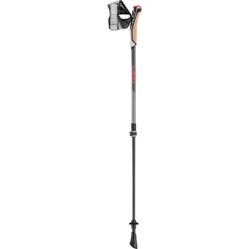 Leki Instructor Lite