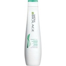Matrix Biolage ScalpSync Anti Dandruff Shampoo 250 ml