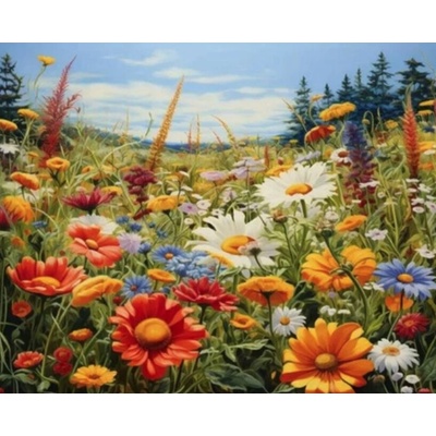 Norimpex diamantové malování Rozkvetlá louka 30 x 40 cm – Hledejceny.cz