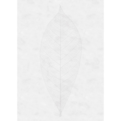 Komar Vliesová fototapeta Decent Leaf rozměry 200 x 280 cm