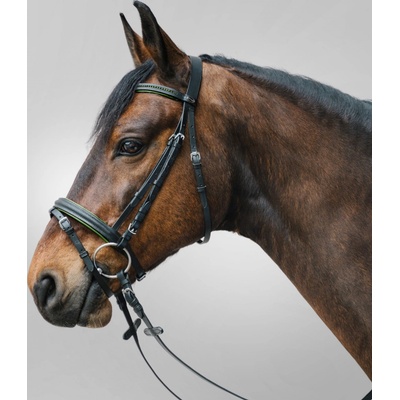 Waldhausen Uzdečka Star Diamond zelená – Zboží Mobilmania