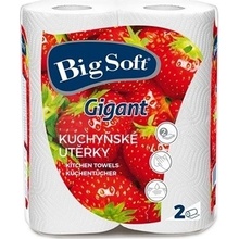 Big Soft Gigant, dvojvrstvové, 2 x 80 utierok
