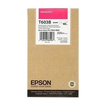 Epson C13T603B00 - originální