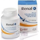Renal N 70 g