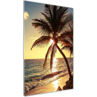 Vertikálny foto obraz sklenený Tropická pláž 50x100 cm