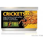 Hagen CANNED FOODS SPECIALTY REPTILE FOOD Crickets XL - консервирани щурци 34g - PT1962