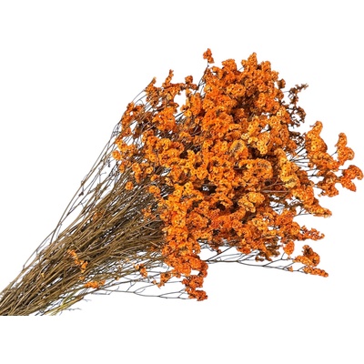 Stabilizované kvety Limonium sinensis 100g - oranžové