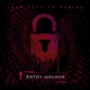 From Fall To Spring: Entry Wounds LP