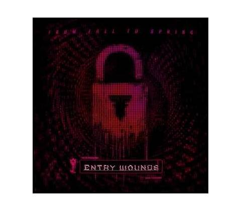 From Fall To Spring: Entry Wounds LP