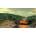 Heliborne